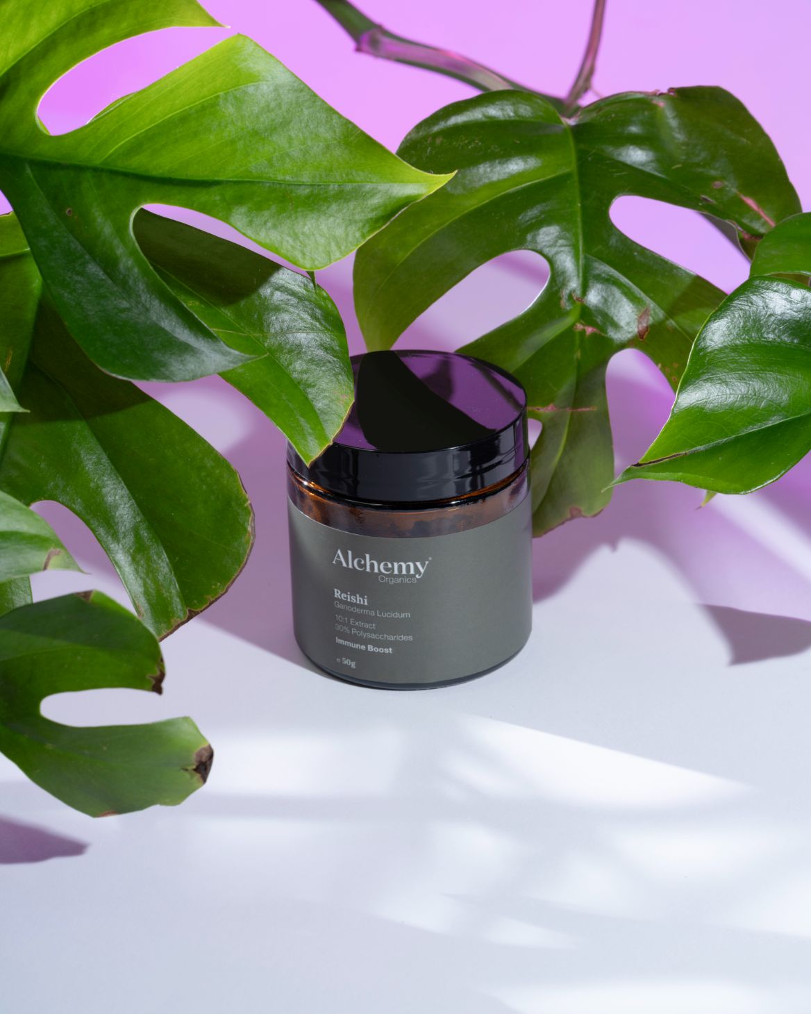 Reishi - Mushroom Extrakt 50g